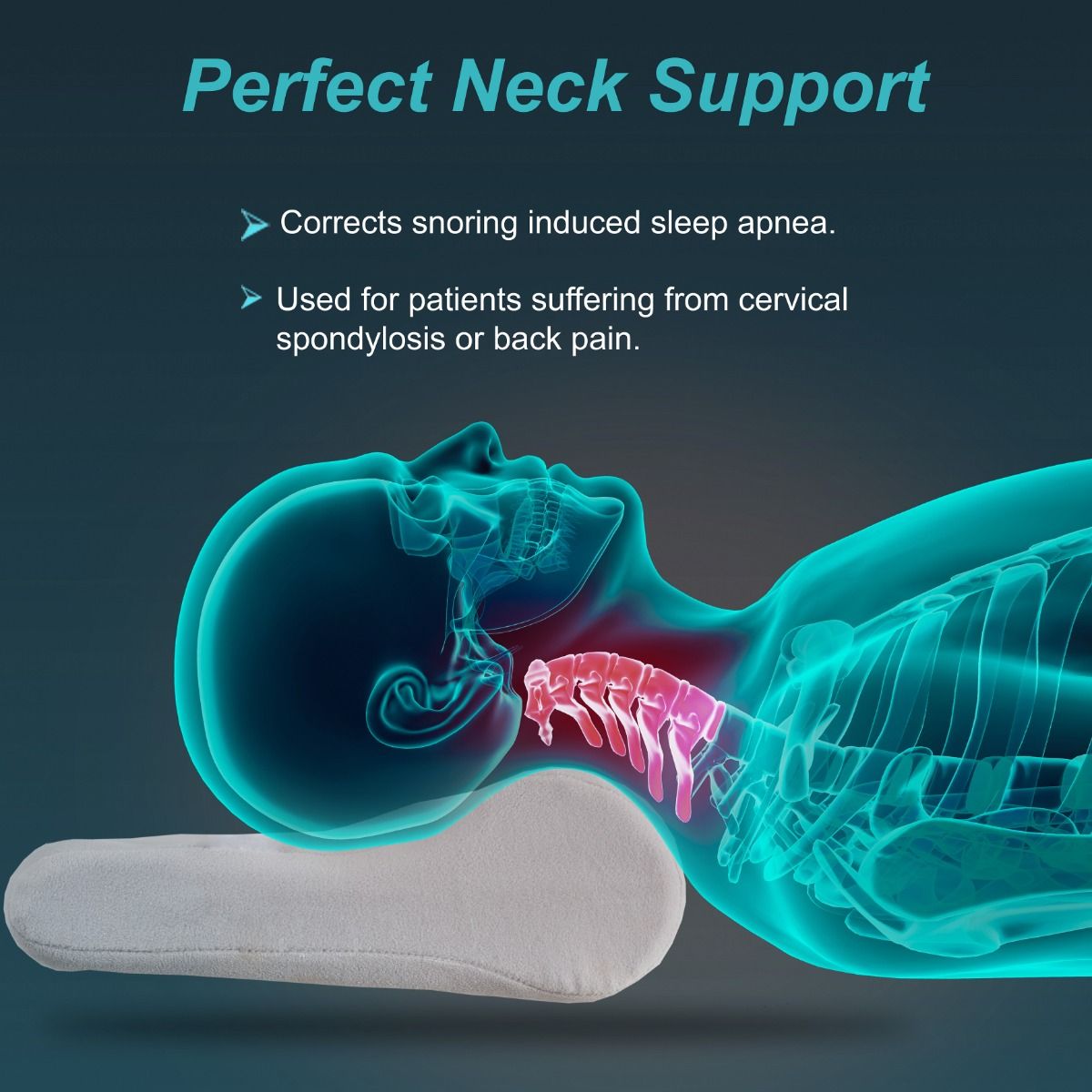 Cervical Pillow Regular