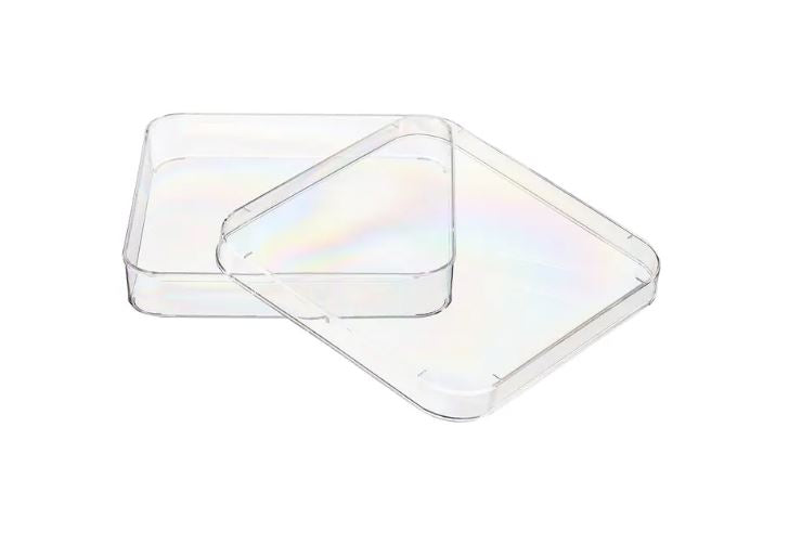 Thermo Scientific Square petri Dishes ™ Nunc™ Lab-Tek™ Petri Dishes