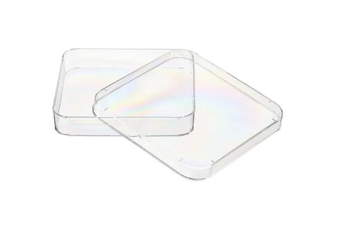 Thermo Scientific Square petri Dishes ™ Nunc™ Lab-Tek™ Petri Dishes